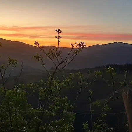 Ondarbaso Rurales Iii Zestoa