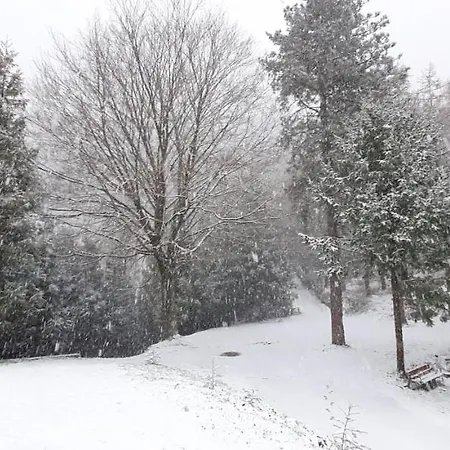 Ondarbaso Rurales Iii *