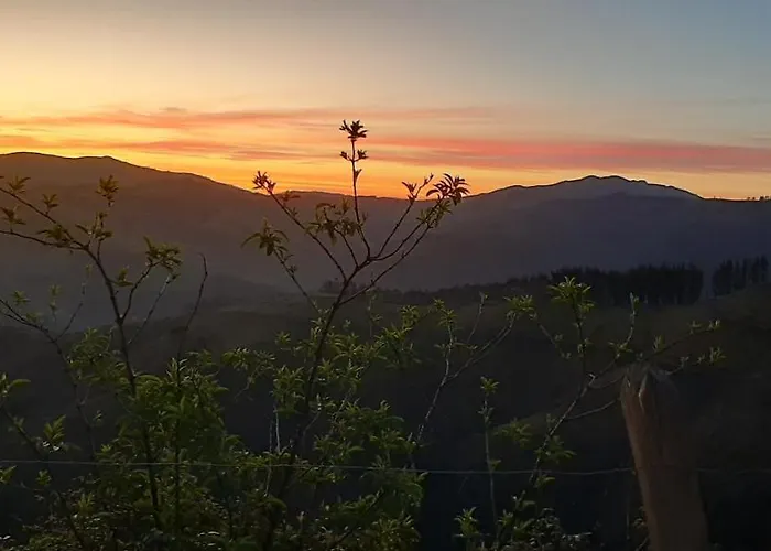 Ondarbaso Rurales Zestoa