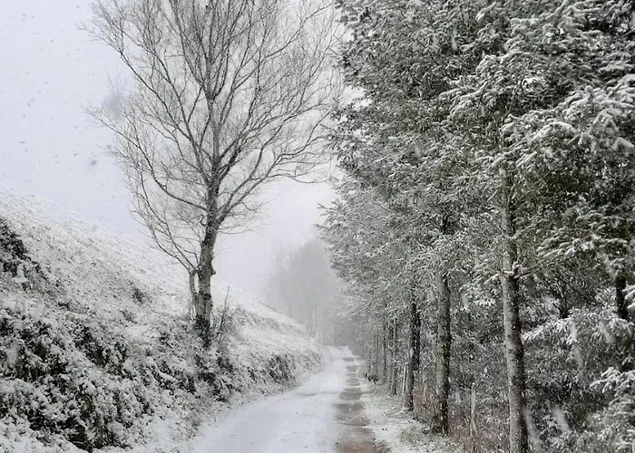 Ondarbaso Rurales Apartment Zestoa